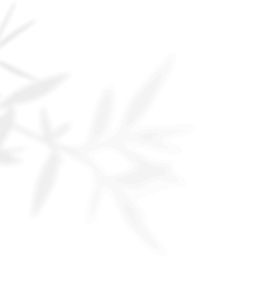 https://www.50millimetrifotografia.it/wp-content/uploads/2020/11/shadow_leaves_01.png