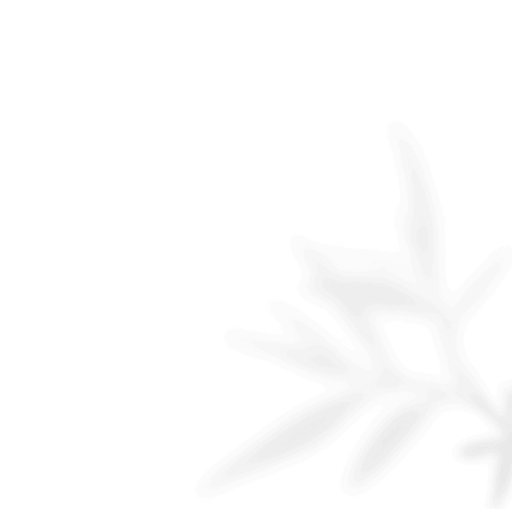 https://www.50millimetrifotografia.it/wp-content/uploads/2020/11/shadow_leaves_02.png