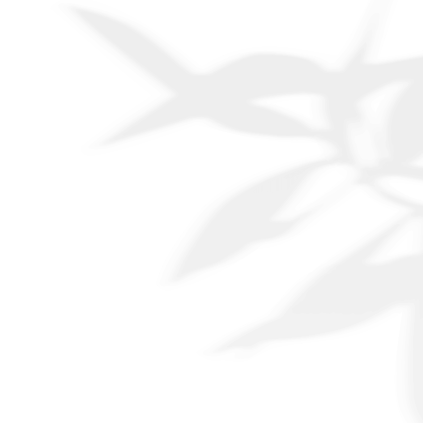 https://www.50millimetrifotografia.it/wp-content/uploads/2020/11/shadow_leaves_03.png