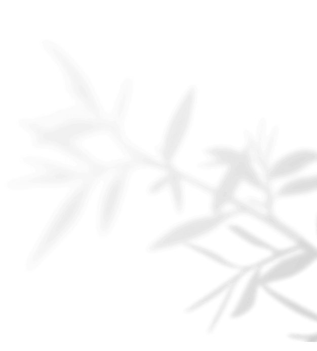https://www.50millimetrifotografia.it/wp-content/uploads/2020/11/shadow_leaves_04.png