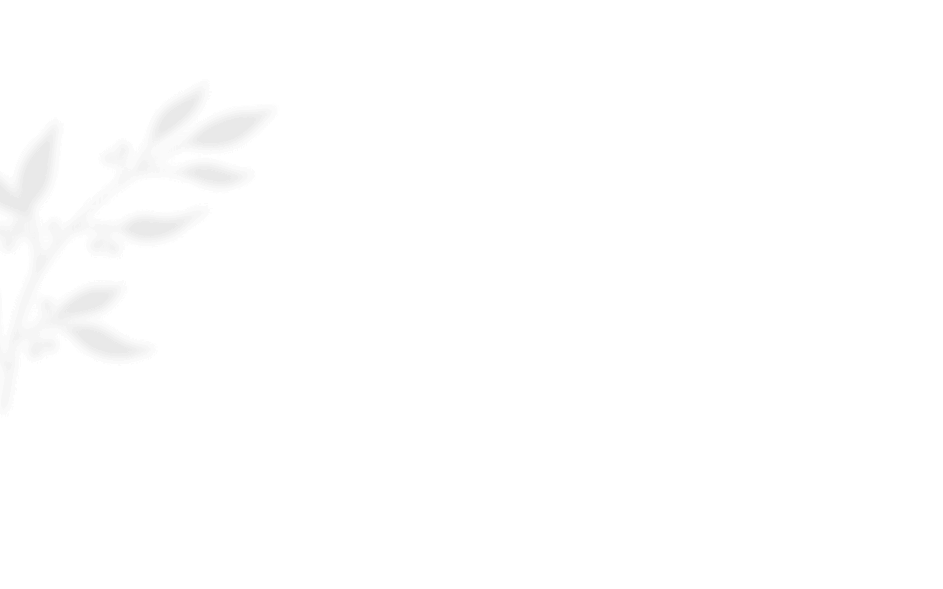 https://www.50millimetrifotografia.it/wp-content/uploads/2020/12/shadow_leaves_01.png