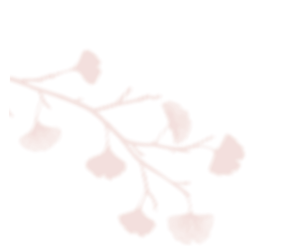 https://www.50millimetrifotografia.it/wp-content/uploads/2020/12/shadow_leaves_06.png