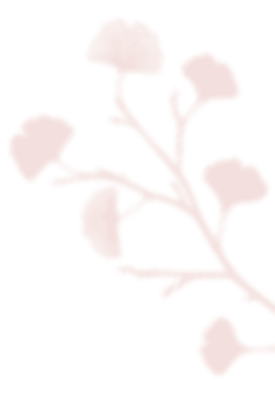 https://www.50millimetrifotografia.it/wp-content/uploads/2020/12/shadow_leaves_07.png