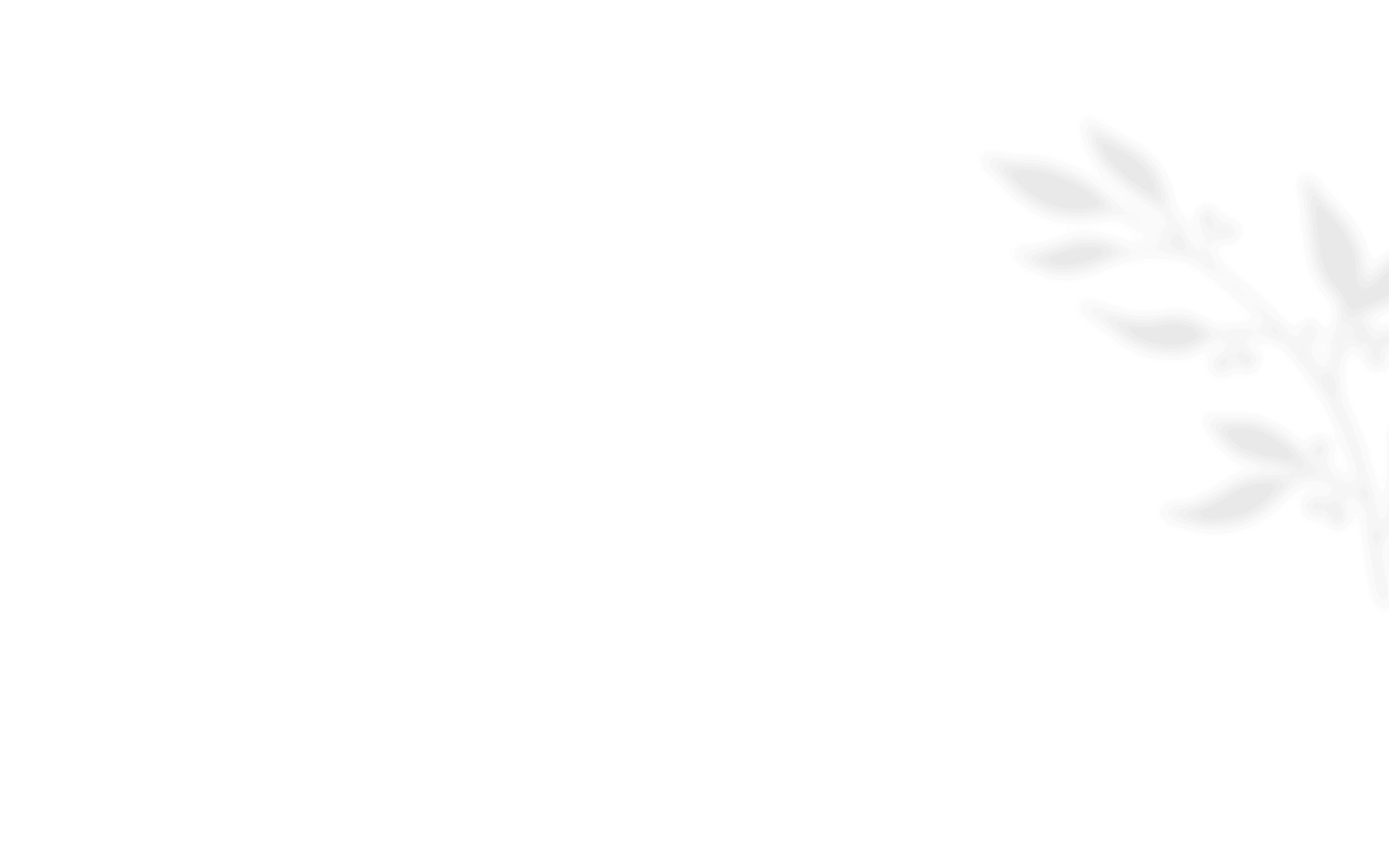 https://www.50millimetrifotografia.it/wp-content/uploads/2021/01/shadow_leaves_08.png